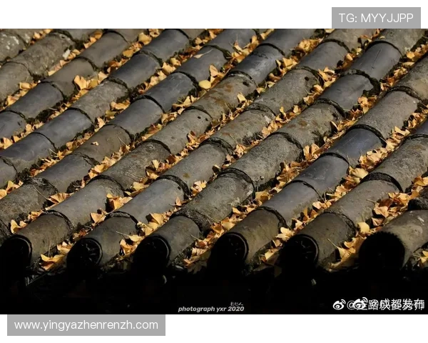 云顶公司是不是传销:云顶公司涉嫌传销的证据与官方回应全面解析 云顶公司是不是传销:云顶公司涉嫌传销的证据与官方回应全面解析