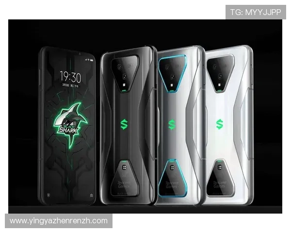 pa视讯官网首页入口最新更新信息，全面解析入口变化及安全登录技巧，保障玩家账号安全与顺畅体验