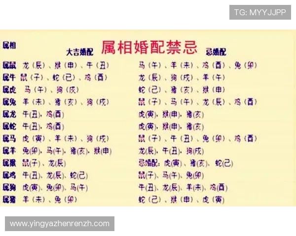 属龙属虎的命理配对分析:揭示两者在婚姻、事业中的吉凶与化解方法 属龙属虎的命理配对分析:揭示两者在婚姻、事业中的吉凶与化解方法