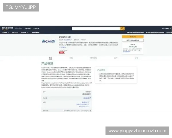 在DB真人旗舰中国平台如何实现快速注册与高效充值流程详解